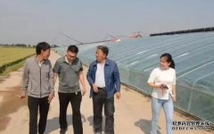 临猗县林业局重心下移送技术 科技支撑增效益
