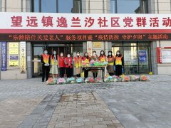 自治区民政厅2022年社会组织公益创投“乐龄陪伴关爱老人”服务项目暨“疫情防控 守护夕阳”主题活动走进望远镇逸兰汐社区