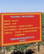 无极县启动建设全国第一个“农业碳中和示范县” 和“无化肥示范县”