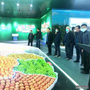 能人带动产业振兴 引领临猗果业迈上新征程