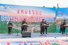 青岛莱西：水集街道仙足山800亩桑葚成熟迎丰收