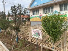 青岛市探索长效机制激发村民自发参与人居环境整治 “一米菜园”扮靓乡村环境！