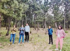 青岛崂山：开展国家揭榜挂帅项目成果 “联邦121” 防控松材线虫病试点