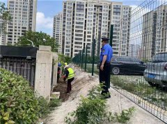   青岛崂山区：坚决抵制毁绿行为，共建共享美丽家园