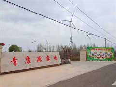 青岛胶州市铺集镇：青康源蜜桃园 夏日消暑好去处