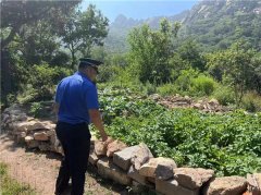 崂山区呵护城市绿肺，“毁绿种菜”不可为