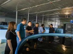 “河”˙“西”一家亲，共圆山海情 ——两当县西坡镇到青岛莱西河头店镇开展调研