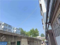 【加快城市更新建设 创建文明典范城市】青岛莱西水集街道：“空中飞线”整治 还居民“无线”美丽天空
