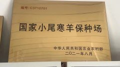 辽宁满族协会关荣宽副会长 沈阳少帅传媒集团董事长路振蛟，潘亮一行三人来到内蒙草原国家小尾寒羊保种场调研
