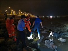 青岛胶州市：小伙赶海时不慎陷入淤泥 警民联手火速救援