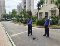 天上拍、地上巡 青岛西海岸新区隐珠街道开启“智能巡查+人工控违”新模式