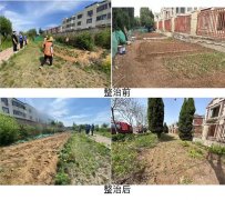 青岛西海岸新区隐珠街道：整治毁绿种菜 改善人居环境