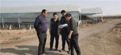 青岛莱西：沽河街道“四用四抓”做好设施农用地管理，持续优化营商环境