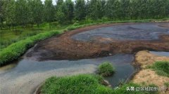【关注】沂水县四十里堡镇东艾家庄村养殖场占农田倒粪便不堪入目