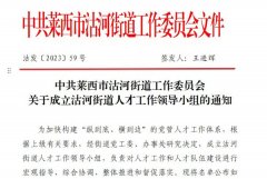 青岛莱西：沽河街道“链”就人才功底 优化营商环境