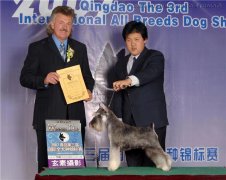 永不言败的爱宠“大男孩” 山东省残疾人自主创业标兵——王刚