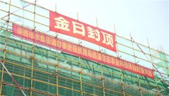匠心灌注 荣耀封顶/产芝湖乡村振兴示范片区微藻研究院项目封顶仪式圆满礼成