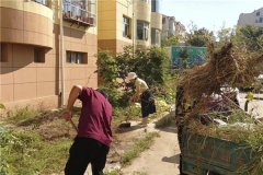 青岛莱西水集街道随手拍一拍，让身边文明多起来