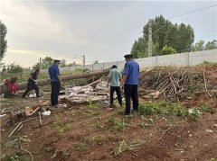 胶州市综合行政执法局：开展铁路沿线环境综合整治工作
