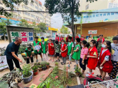 青岛市北区洛阳路街道郑州路社区：创新多方参与新模式 奏响社区共建共治共享新乐章