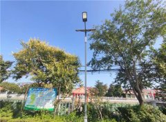 青岛莱西：沽河街道打造明亮夜景 助力城市更新