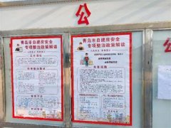 青岛莱西河头店镇筑牢城市更新建设基础 保障人民群众住房安全