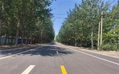 青岛莱西姜山镇以基础设施建设为引擎 推动营商环境优化升级