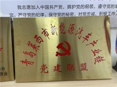 青岛莱西姜山镇：红链引领聚势赋能 推动两新企业高质量发展