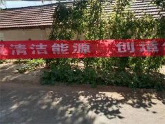 青岛莱西河头店镇清洁取暖进万家 城市更新加速度