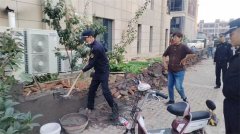 青岛西海岸新区隐珠街道：聚焦拆违治乱 助力城市更新