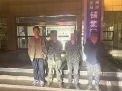 白天上班 夜间化身“猎人”，青岛胶州警方打掉非法狩猎团伙