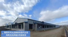 青岛莱西河头店镇：加快白羽肉鸡项目建设 城市更新新进展