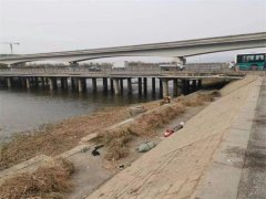 隐珠街道开展芦苇割除工作 促进水域生态保护