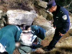 醉酒男子躺沟里酣睡，黄岛民警紧急联系送医