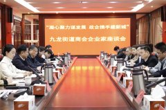凝心聚力谋发展 政企携手建新城，九龙街道开展商会企业家座谈会暨春节送温暖活动