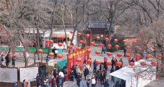 青岛崂山风景名胜区初一“开门红” 万余游客登高享文化盛宴