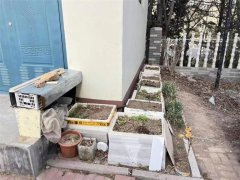 青岛莱西水集街道“文明青岛随手拍” 点亮城市文明的掌中宝