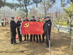 不负春光添新绿 植树造林绿环境