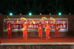 胶州九龙街道： 文化进万家丨为乡村全面振兴注入文化凝聚力