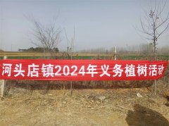 “植”此青绿，不负春光！青岛莱西市河头店镇开展义务植树城市更新活动
