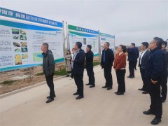 青岛莱西河头店镇开展“党建共建聚合力·学思践悟谋共富”活动
