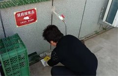 【爱国卫生】春季灭鼠正当时！青岛莱西沽河街道开展集中灭鼠行动