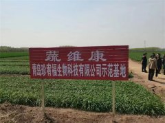 助力乡村振兴农业发展——健康农作物种植标准化现场考察