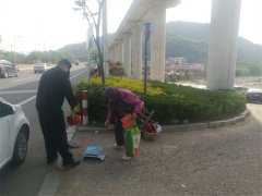 崂山区北宅综合执法中队全力保障29届樱桃节
