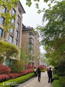 崂山区部门联动齐抓共管 违法建设精准防控