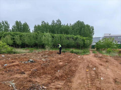 青岛西海岸新区隐珠街道：开展裸漏土地专项整治 营造绿色宜居环境