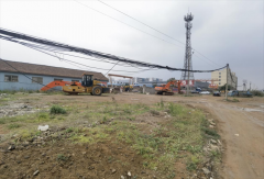 青岛西海岸新区隐珠街道：严格依法保护耕地 坚决制止乱占耕地行为