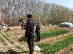 胶州市综合行政执法局强势推进两违治理，整治拆除违规集装箱