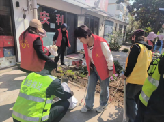 青岛西海岸新区隐珠街道：开展春季护绿专项执法为美丽家园添新绿
