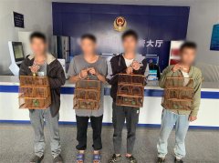能用于“斗鸟”就抓来卖钱？胶州警方打掉四人非法狩猎团伙